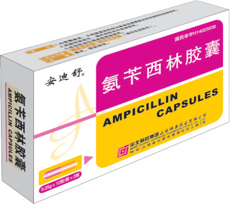 �������ֽ���(������)