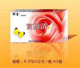 ������Ƭ