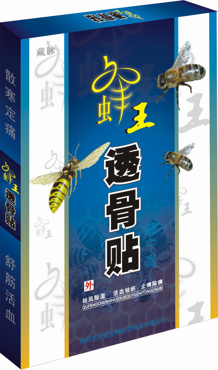 ����͸����