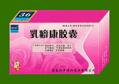 ��񱿵����