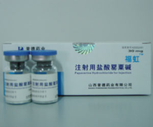 ע����������ڼ�