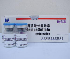 ע�������᳤������