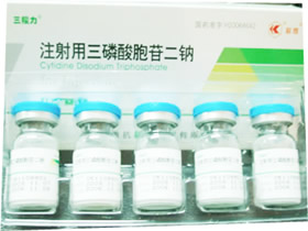 ��������ն���