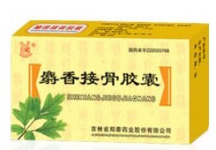 ����ӹǽ��� 