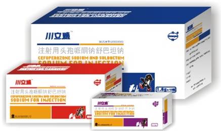 ע����ͷ����ͪ�����̹��