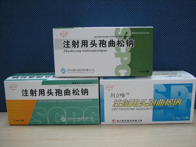 ע����ͷ�������� 