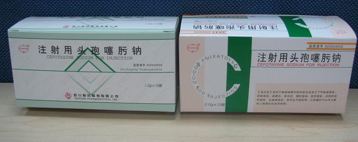 ע����ͷ�������