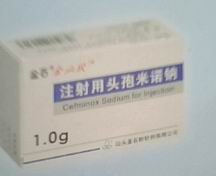 ע����ͷ����ŵ��(������)