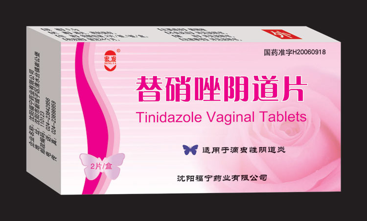 ����������Ƭ