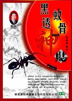 �\��͸������