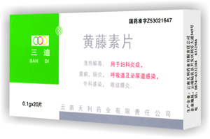 ������Ƭ