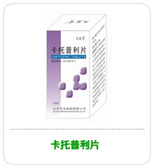 ��������Ƭ