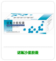 ŵ��ɳ�ǽ���