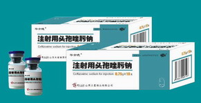 ͷ�������