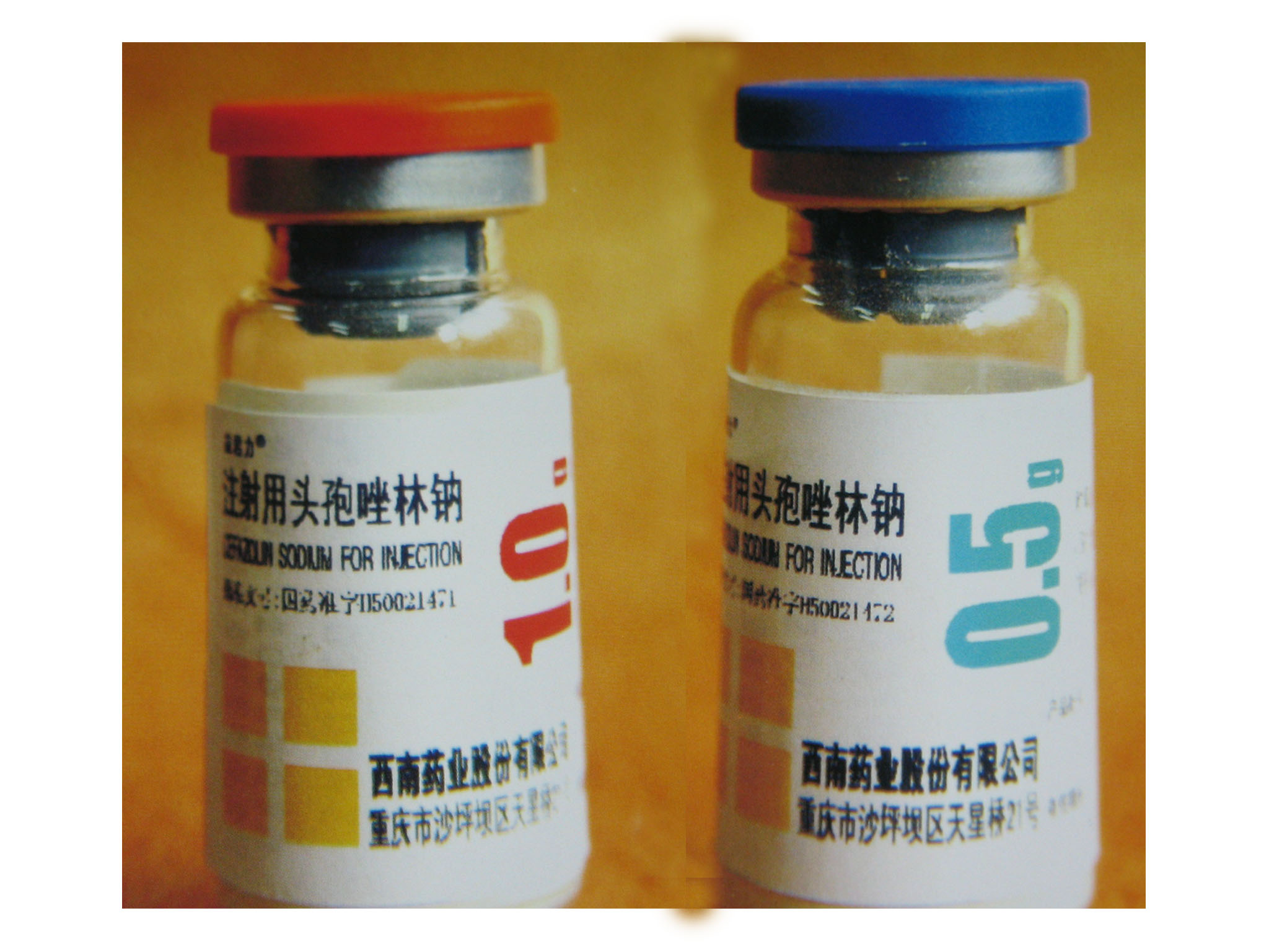 ע����ͷ�������� 