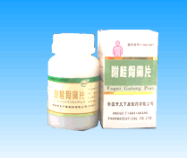 附桂骨痛片(瓶装)