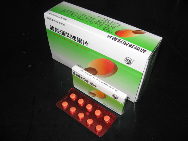 ���ỷ��ɳ��Ƭ