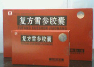 ����ѩ�ν���