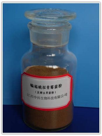 ���ͳ�ݾ���