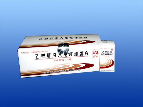 ���͸����������򵰰�