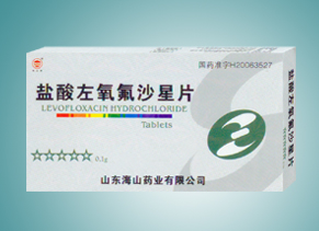 ����������ɳ��Ƭ