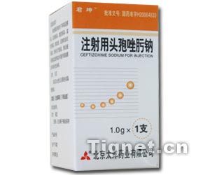 ͷ�������