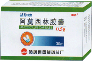 ��Ī���ֽ��ҡ�