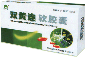 ˫����������