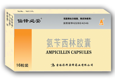 �������ֽ���