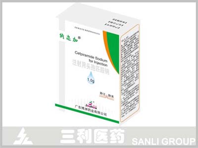 ע����ͷ��ƥ����