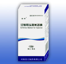 ע����ͷ����ŵ��