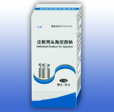 ע����ͷ��������