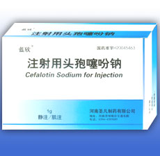 ע����ͷ�������