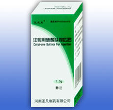 ע��������ͷ��ƥ��