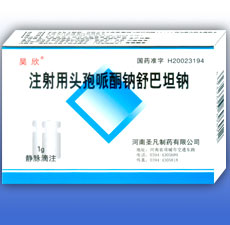 ע����ͷ����ͪ�����̹��