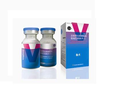 ע����ͷ����ͪ�������̹�ƣ�8��1��