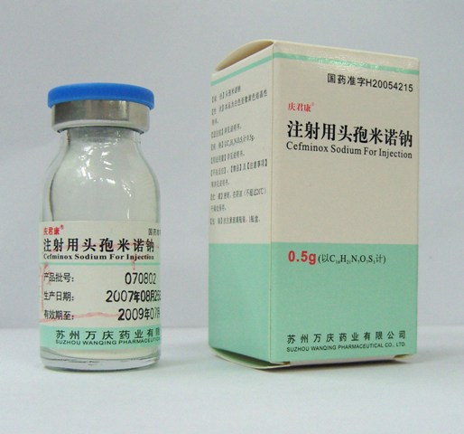 ע����ͷ����ŵ���������