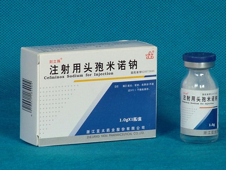 ע����ͷ����ŵ��