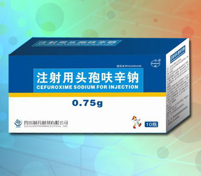 ע����ͷ��߻���ƣ���ά�� 