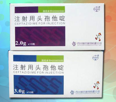 ע����ͷ����� 