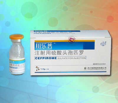 ע��������ͷ��ƥ�� 