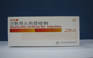 ע����ͷ��������