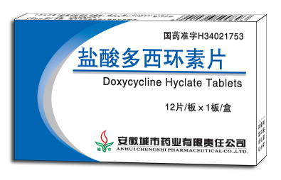 �����������Ƭ