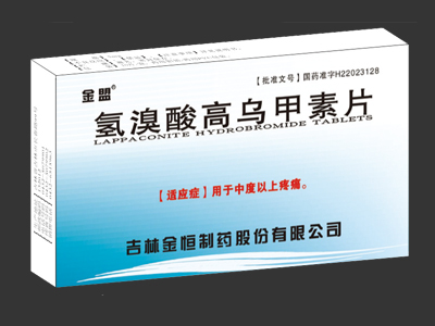 ��������ڼ���Ƭ