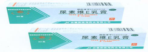 ����άE���(¤����������ˬ)