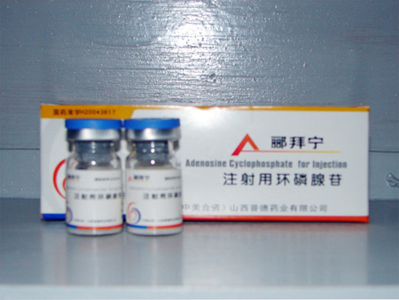 ע���û�������