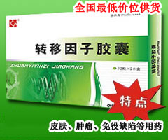 ת�����ӽ���(12��*2��)