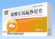 ����������ɳ��Ƭ