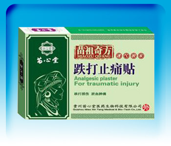 ��ҩ����-���ڸ�ҩ������ֹʹ��(������)