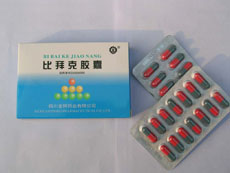 �Ȱݿ˽��� (�ܵ����Ƚ���)